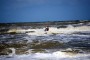 Thumbs/tn_Kite Board Open 2016 zaterdag 011.jpg